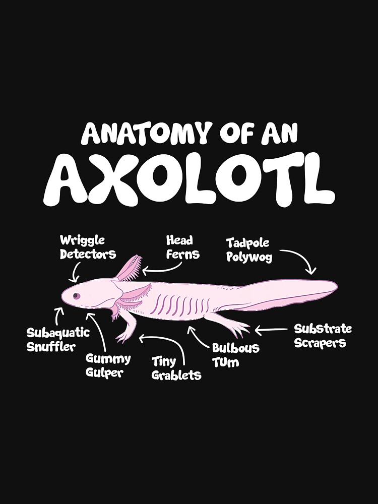 Anatomy Of An Axolotl T Shirt Axolotls Biology Science Shirt T Shirt