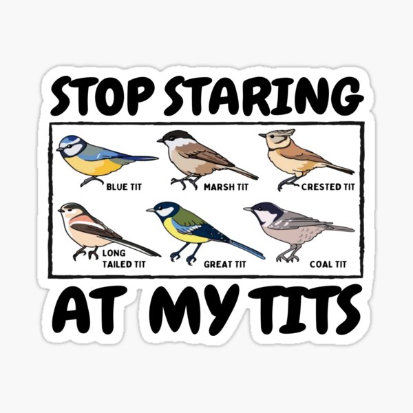 Stop Staring At My Tits Funny Titmouse Bird Design Sticker For Sale