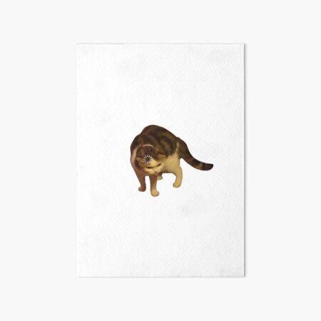 Buffering Cat Meme Art Board Print For Sale By Spaghettibeanz