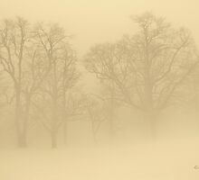 Foggy Sepia Trees by Gilda Axelrod