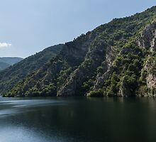 Steep Shores and Green Summer Light - a Mountain Lake Impression by Georgia Mizuleva