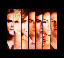 The Vampire Diaries by D. Abdel.