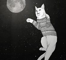 Cat trying to catch the Moon. by barruf