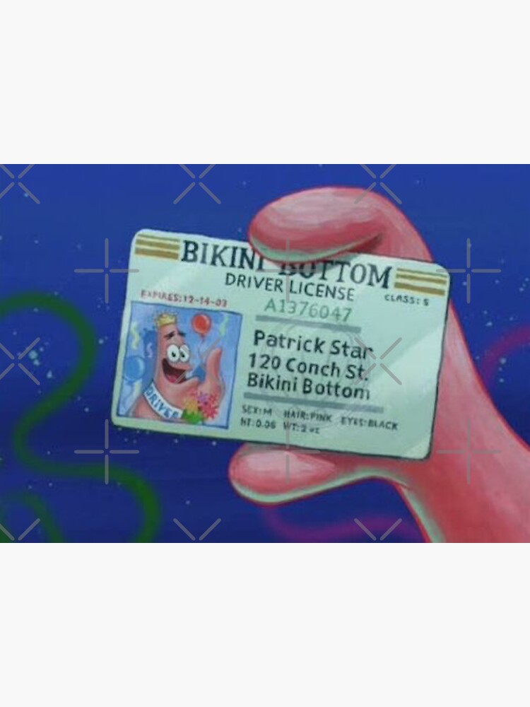 Bikini Bottom Driver License Patrick Star Sticker For Sale By