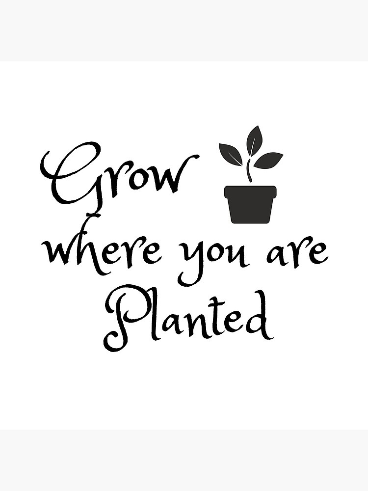 Grow Where You Are Planted Motivational Quotes Poster For Sale By