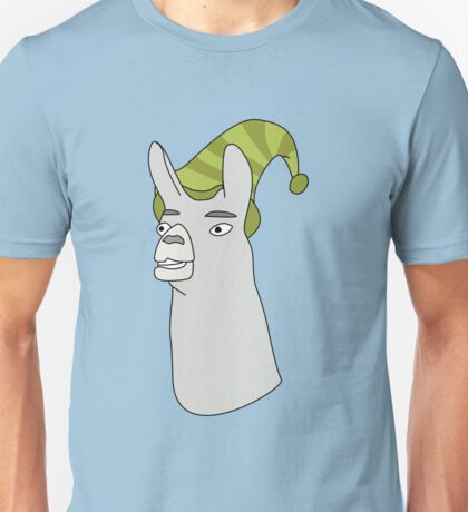 llamas with hats shirts