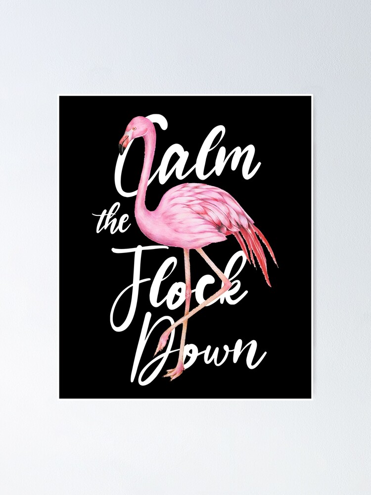 Calm The Flock Down Flamingo Calm Down Humor Funny Gifs Poster