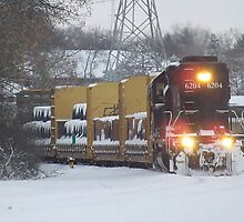 Illinois Central Locomotive 6204 by Timothy Ruf