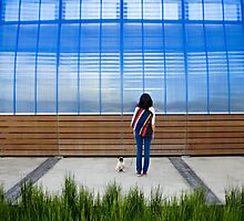 Let Me In by Kelly Nicolaisen