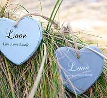 two love hearts on grassy dunes by morrbyte