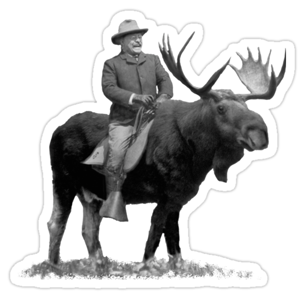 theodore roosevelt on moose