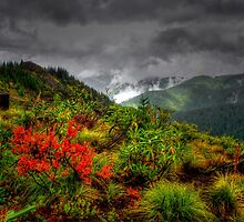 Under Controll ~ Oregon High Cascades ~ by Charles & Patricia Harkins ~ Picture Oregon