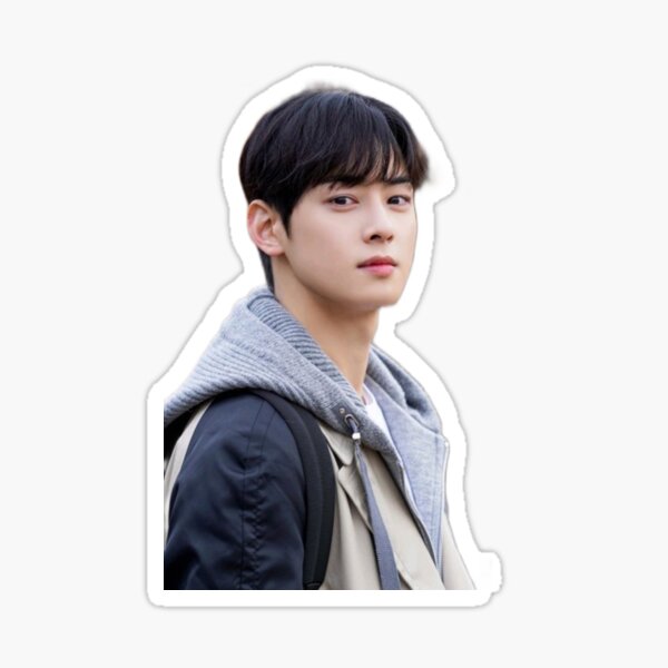 Cha Eunwoo Sticker For Sale By Divya21 Redbubble