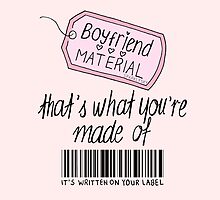 boyfriend material by sparklysky