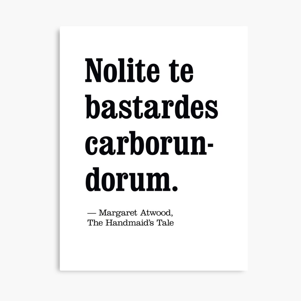 Digital Prints The Handmaid S Tale Literary Quote 2 Margaret Atwood