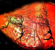 On Fire by Igor Zenin