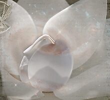 Dusting Of Space by Crista Peacey