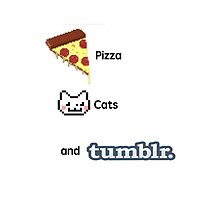Pizza, Cats, And Tumblr by jodiecameron