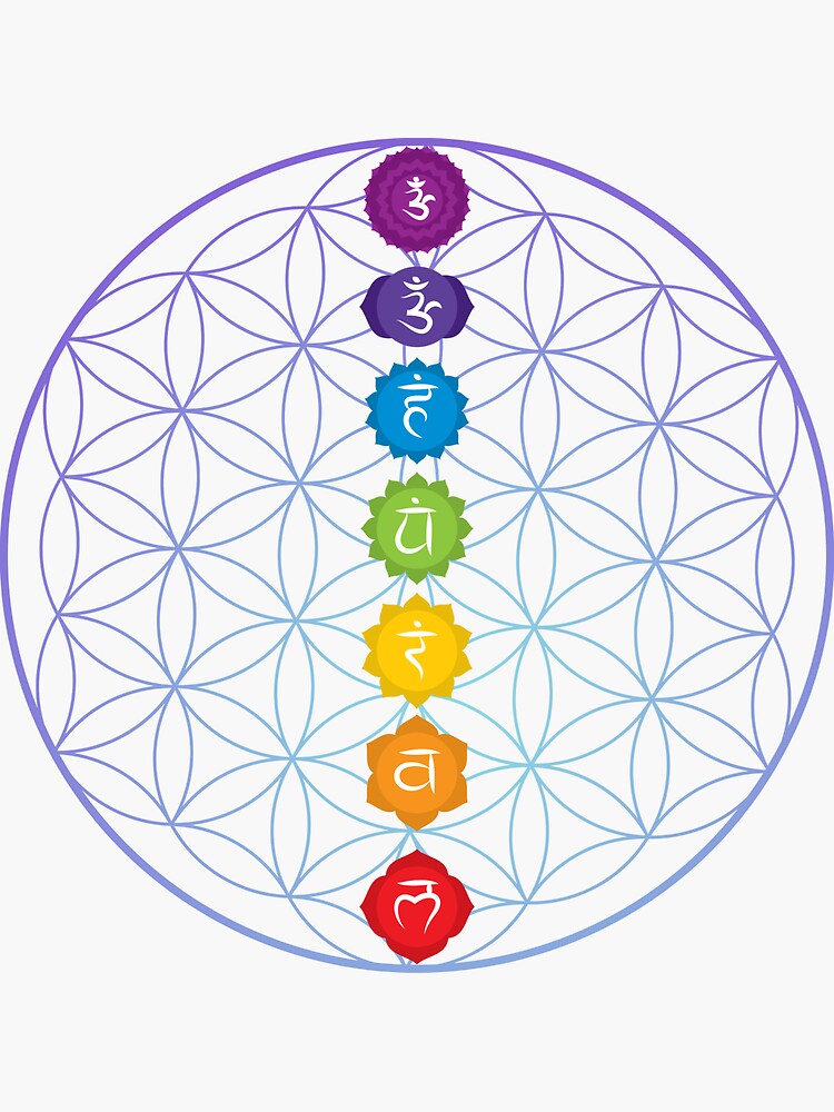 The Flower Of Life And The Seven Chakras Sacred Geometry Magic Gift