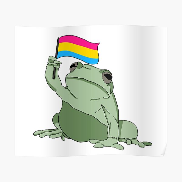 Pansexual Flag Frog Poster For Sale By Kristys Chaos Redbubble