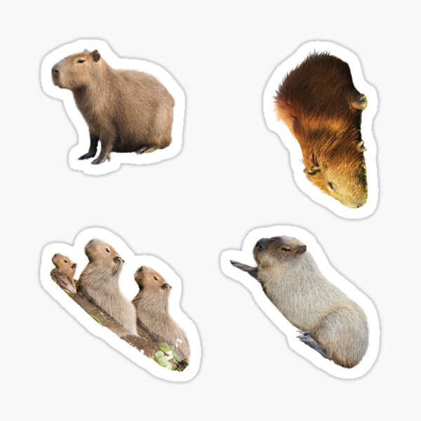 2nd Sad Capybara Stickers Package Funny Capybaras For Every Capybara