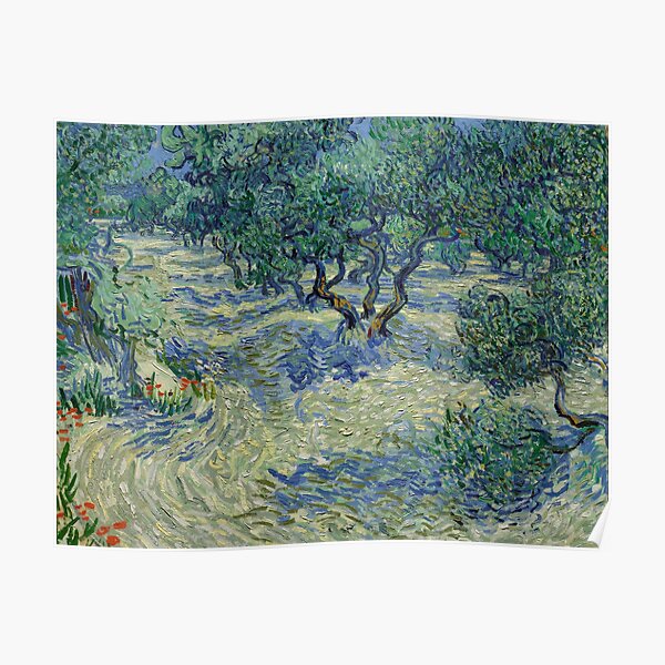 Olive Trees By Vincent Van Gogh Poster By Mara Ayvazyan Redbubble