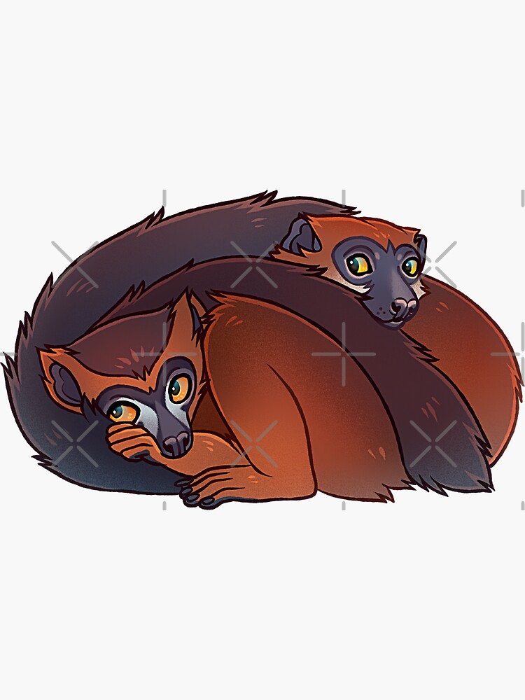 Red Bellied Lemur Couple Sticker For Sale By Mr Lemur Redbubble