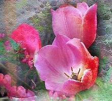 April Medley by Nadya Johnson