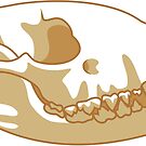 Raccoon Skull by wingedwolf94