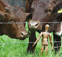 Amazed Cows by Mythos57