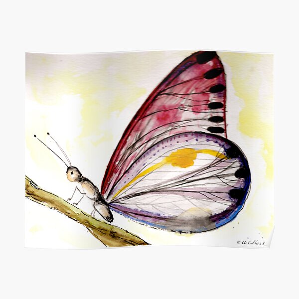 Watercolor Pink Purple Butterfly Poster By UnColibriaParis Redbubble