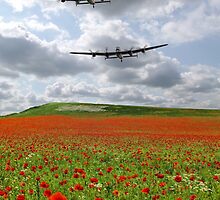 The Two Lancasters - We Remember Them ! by Colin J Williams Photography