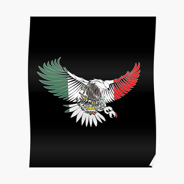 Flying Eagle Mexican Design Mexican Flag Design For Mexican Pride