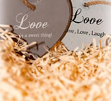 couple of wooden love hearts by morrbyte
