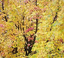 Autumn Forest Art prints Yellow Fall Leaves by BasleeArtPrints