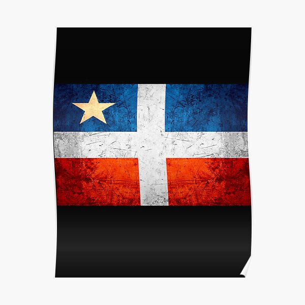 El Grito De Lares Flag Puerto Rican Revolution Poster For Sale By