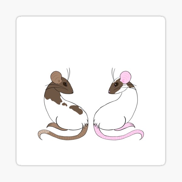 My Rat Logo Sticker For Sale By Vexboi Redbubble