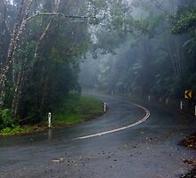 In the Clouds on Mount Glorious Road by MichaelJP