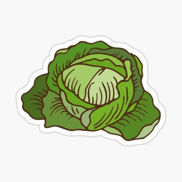 Cabbage Sticker For Sale By Deepfuze Redbubble