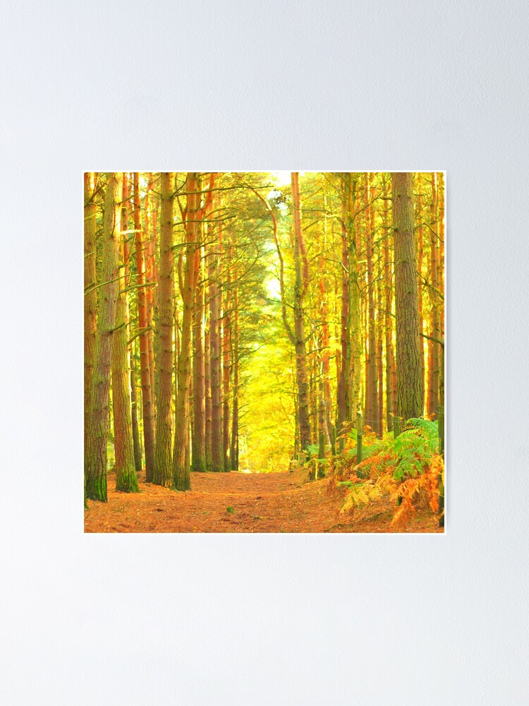 Hiking In The Forest Poster For Sale By Jhopeart Redbubble