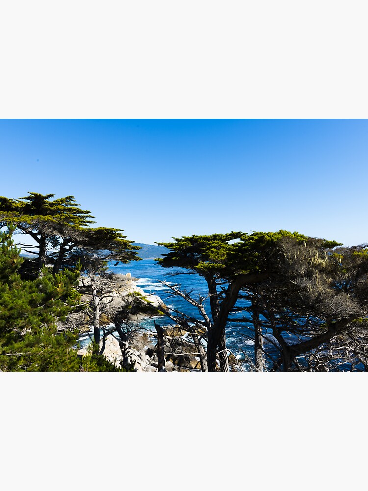 View Of Pacific Coast Near Mile Drive Is A Scenic Road Through