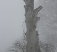 Dead Tree in the Fog by Gilda Axelrod