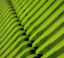 stacked by Bruce Dickson