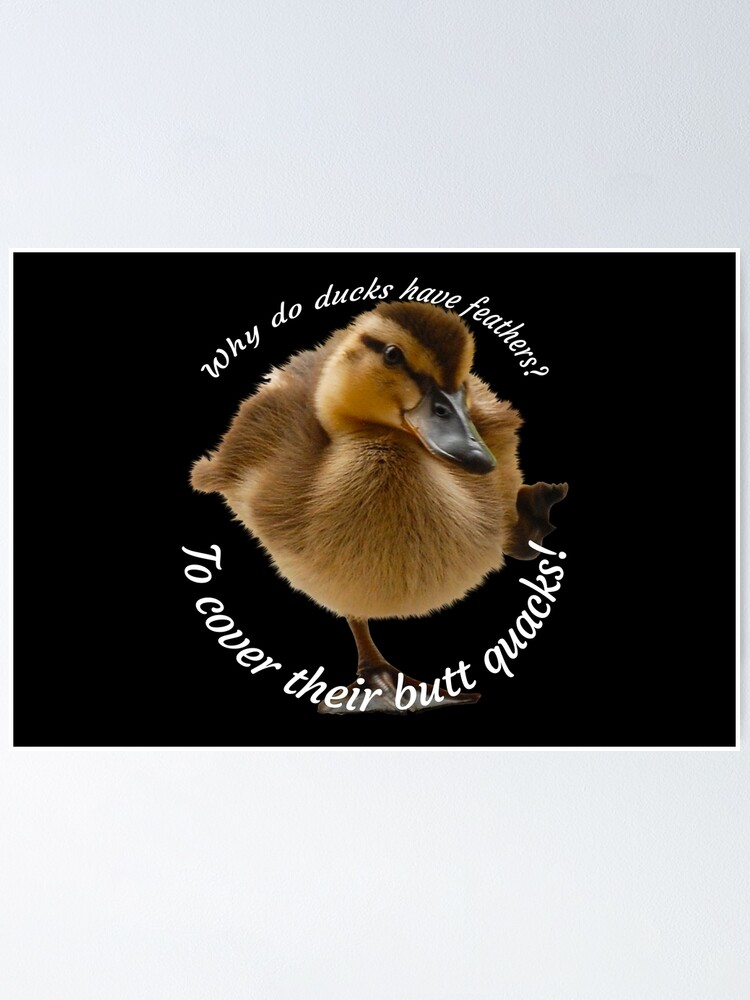 Duck Jokes For Duck Lovers Poster For Sale By Daveoily Redbubble