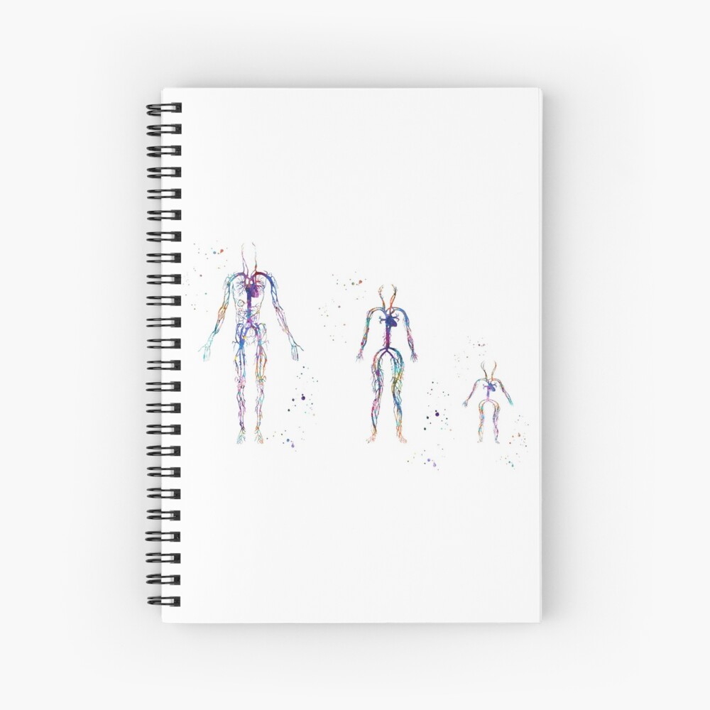 Cuaderno De Espiral Sistema Circulatorio Cardiovascular De Un Ser