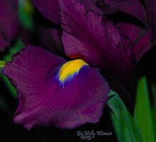 Royalty by Holly Werner