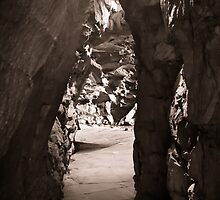 Unearthed by Eric Scott Birdwhistell
