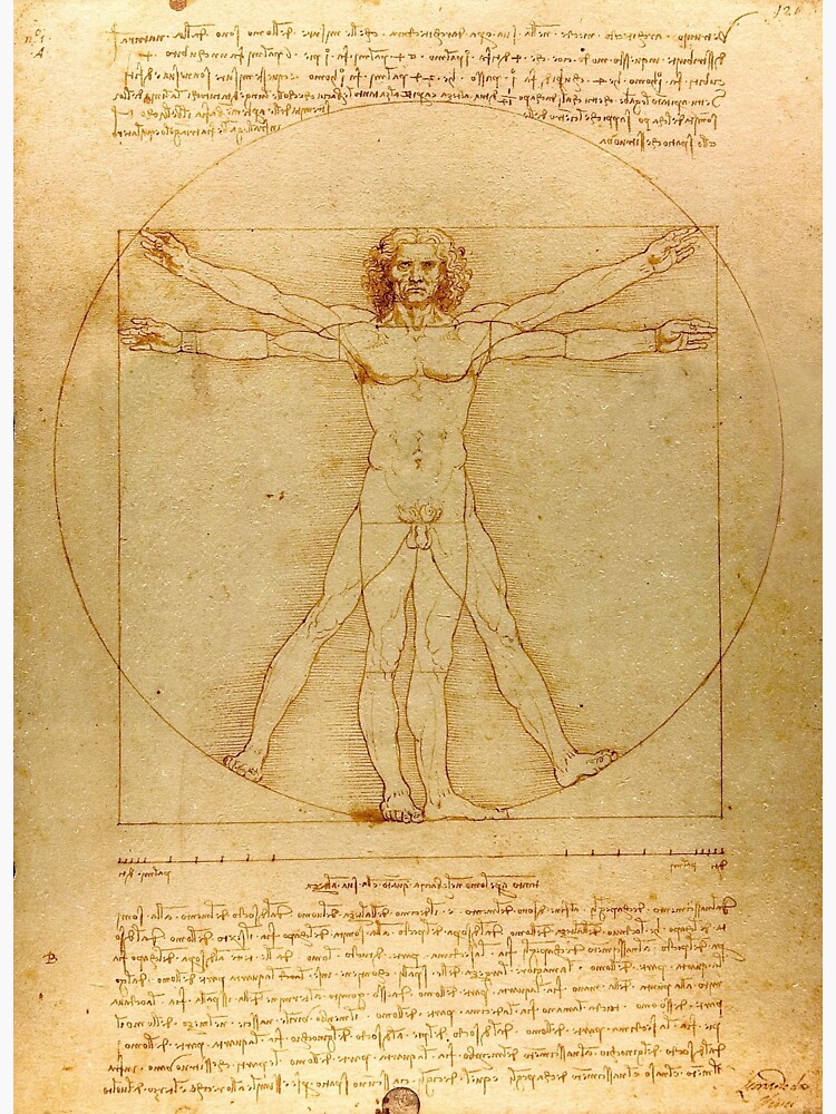 Vitruvian Man Leonardo Da Vinci Sticker For Sale By Leonardo