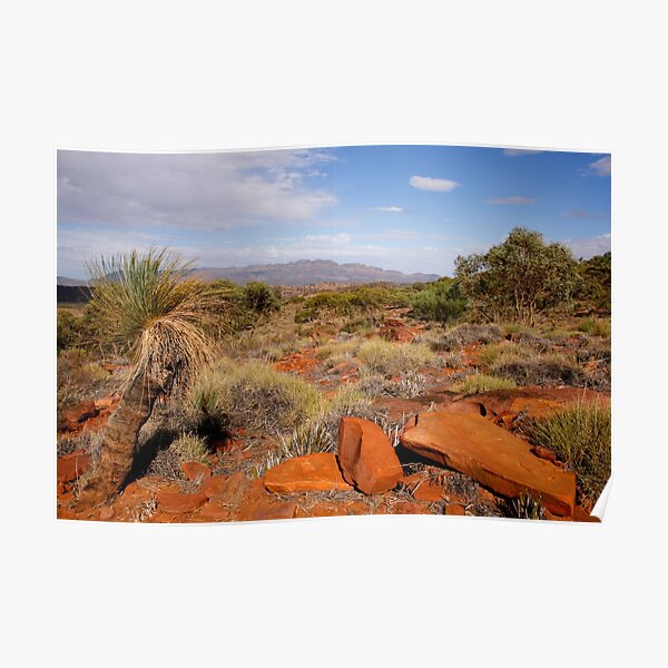 Australian Outback Desert Landscape Poster For Sale By Jwwallace