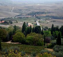 Pienza Landscape by Mui-Ling Teh